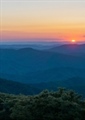 North Carolina BHA